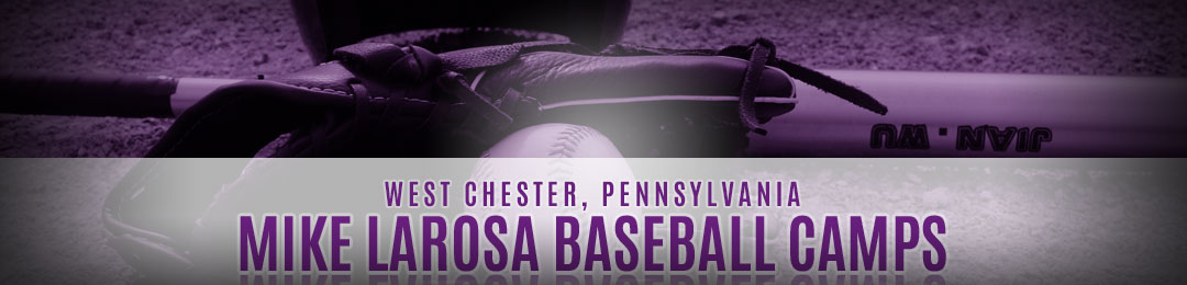 Mike LaRosa Baseball Camps, LLC
